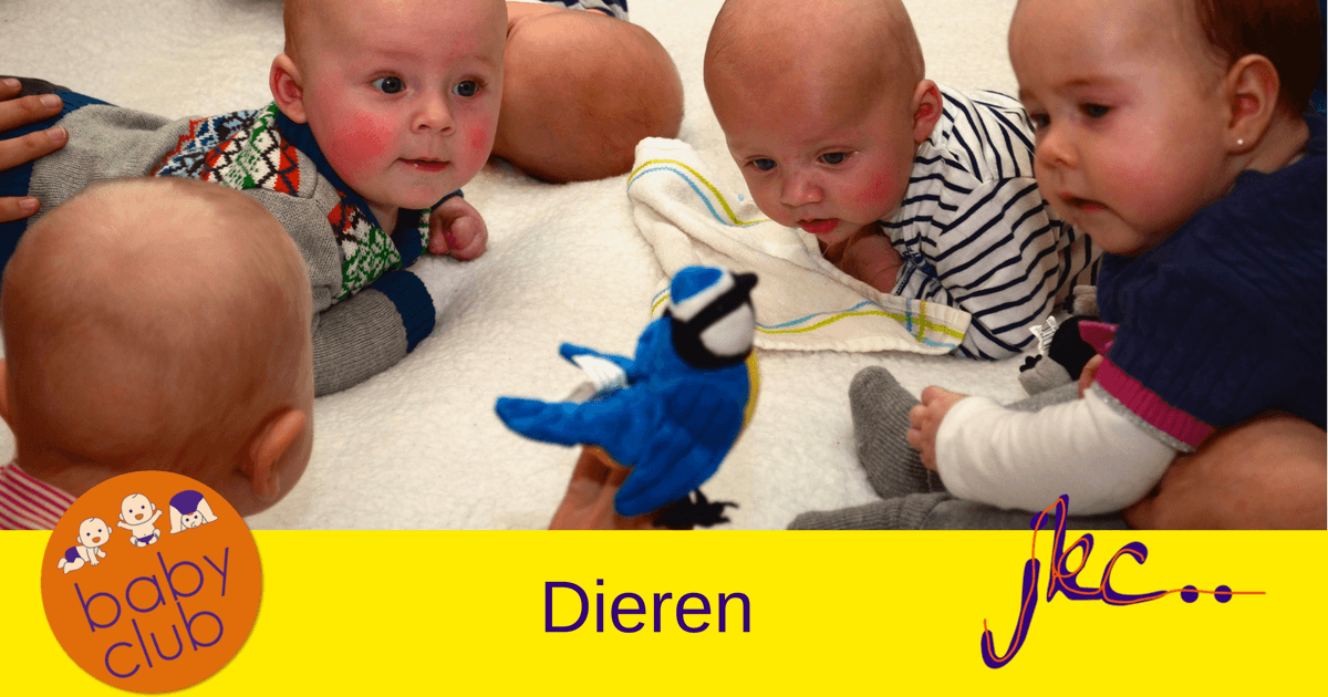 Babyclub Dieren